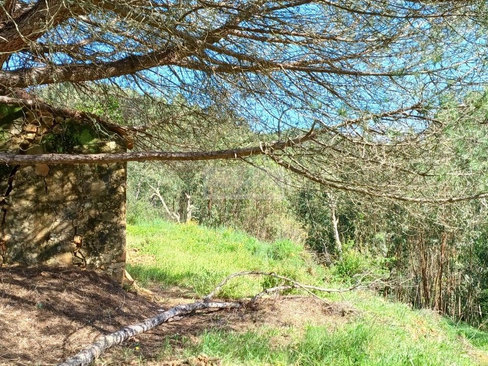 Tomt i Aljezur, Faro - bilde 4