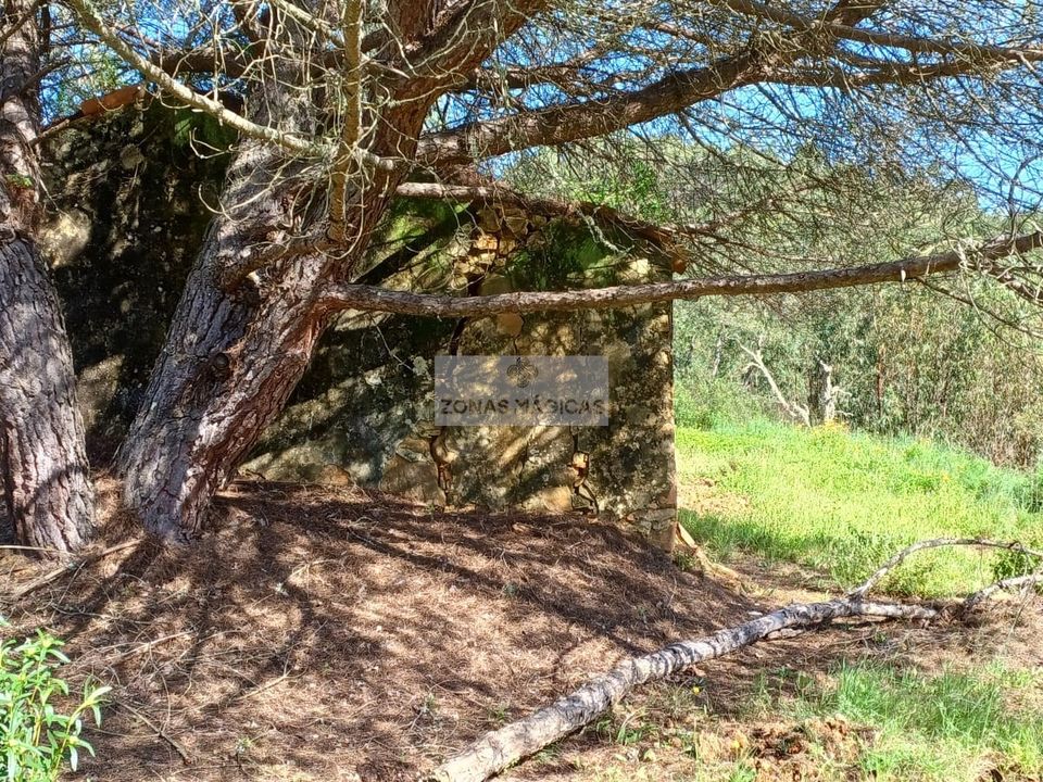 Tomt i Aljezur, Faro - bilde 5