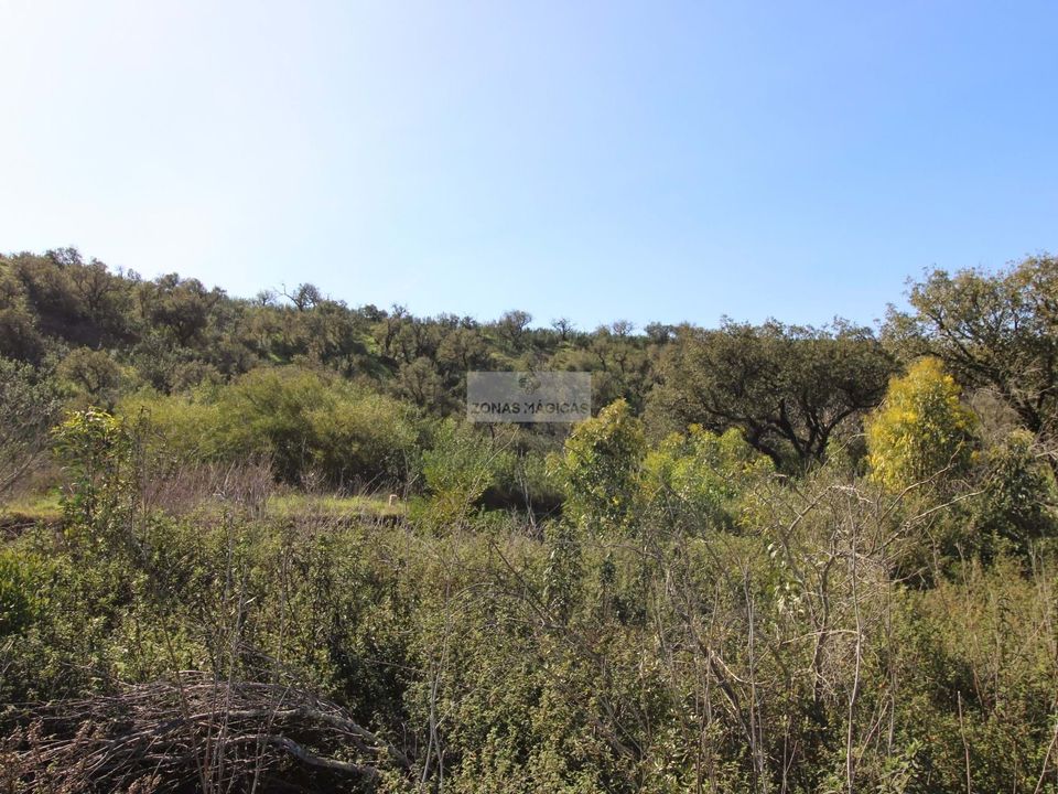 Helårsgrund i Sagres, Faro - foto 3