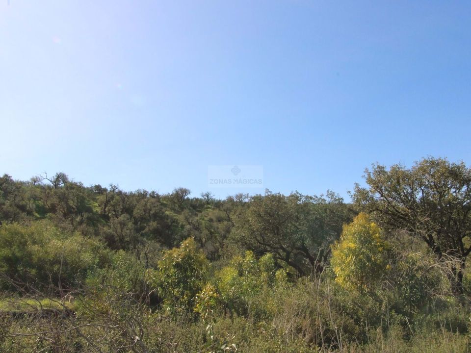 Helårsgrund i Sagres, Faro - foto 5