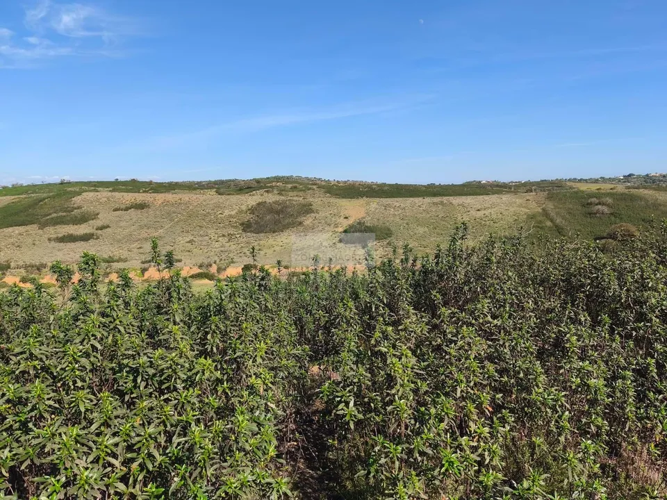 Tomt i Sagres, Faro - bilde 2