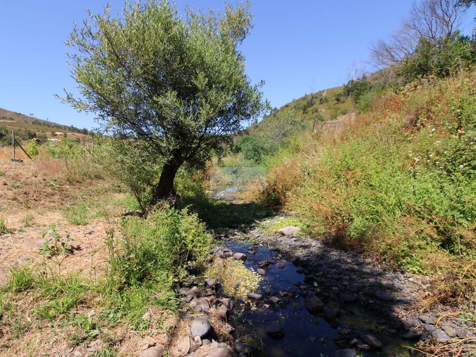 Ruinere i Monchique, Faro - foto 1