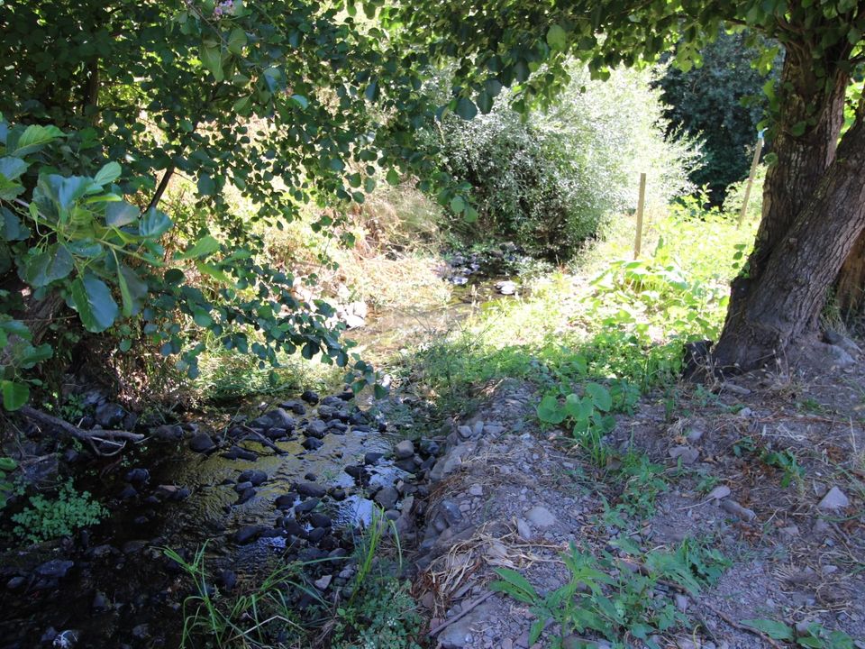 Ruinere i Monchique, Faro - foto 2