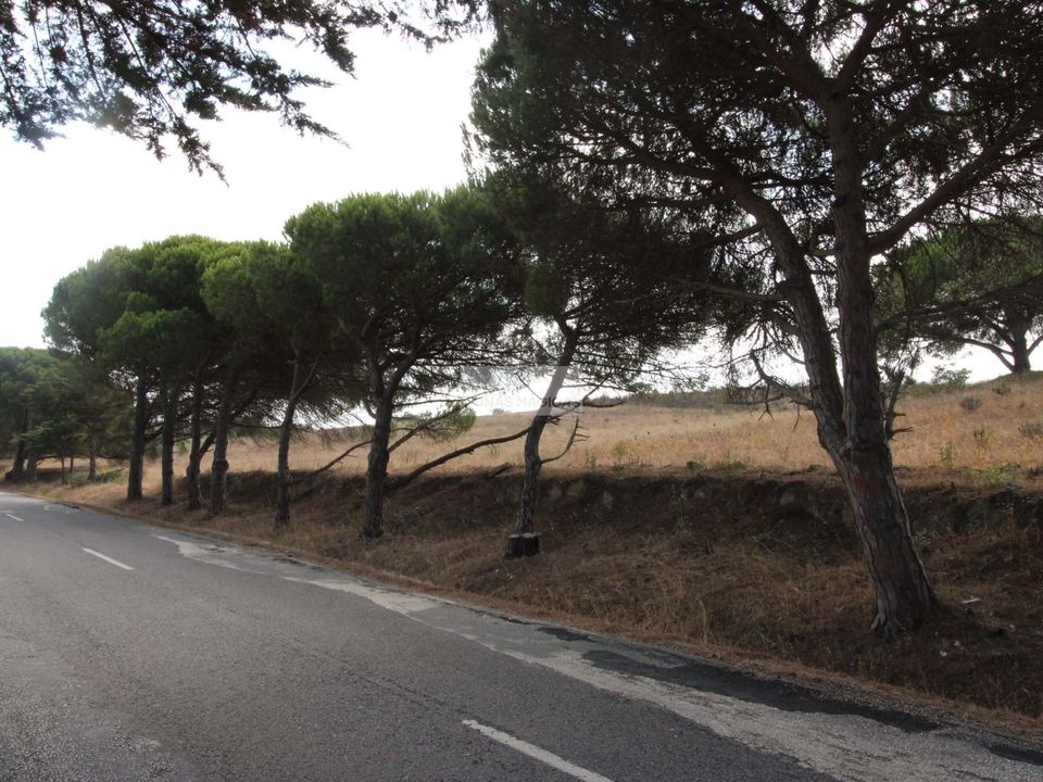 Helårsgrund i Aljezur, Faro - foto 4