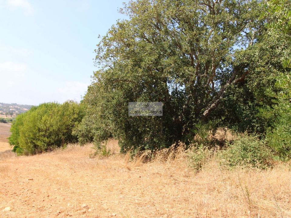 Tomt i Aljezur, Faro - bilde 2