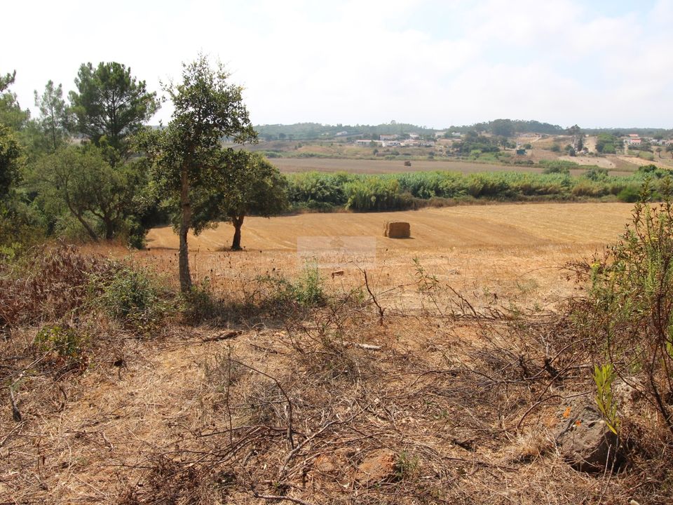 Tomt i Aljezur, Faro - bilde 3