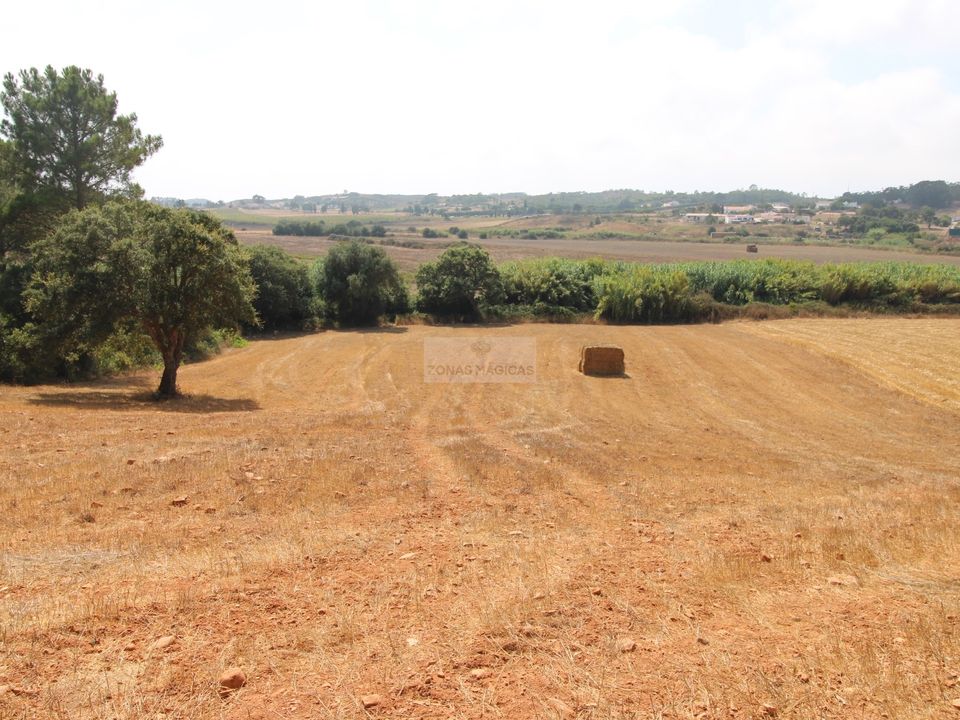 Tomt i Aljezur, Faro - bilde 4