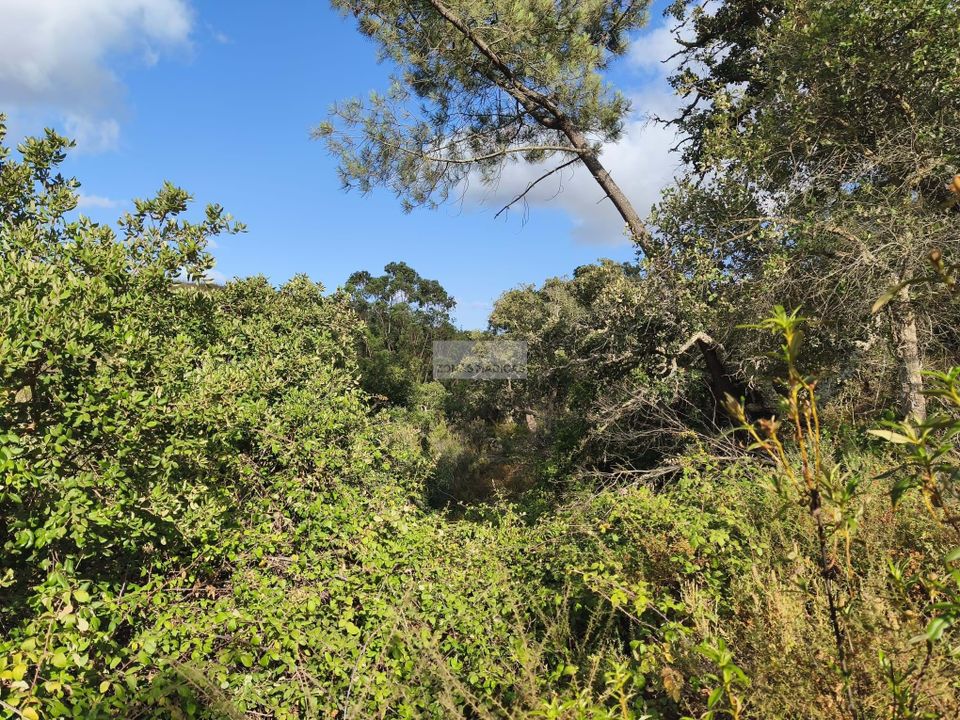 Helårsgrund i Lagos, Faro - foto 3