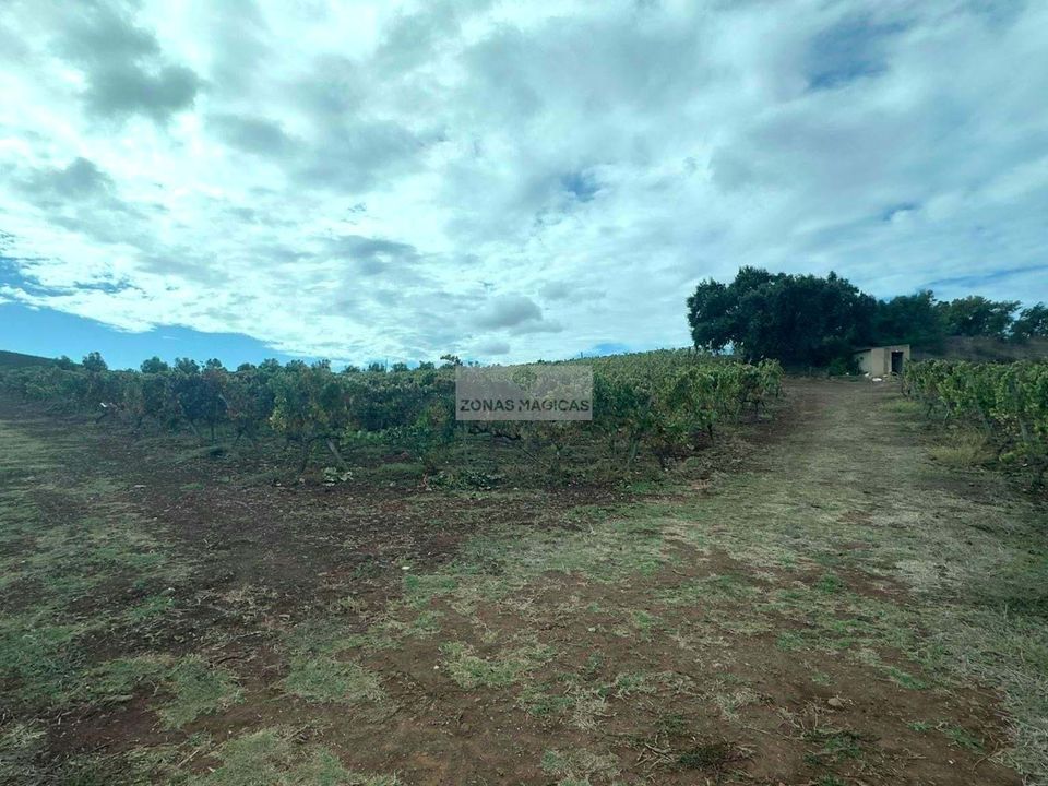 Ruin i Lagos, Faro - bilde 5