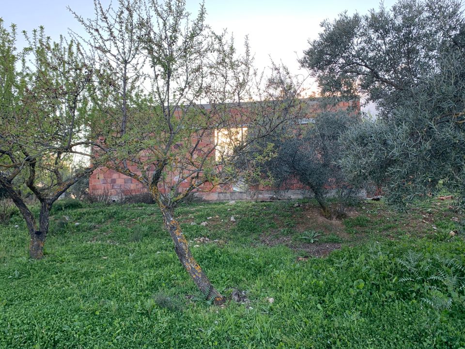 Farm hus i Alfarnatejo, Malaga - foto 4