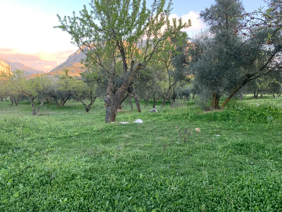 Farm hus i Alfarnatejo, Malaga - foto 2