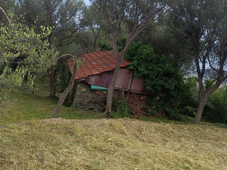 Helårsgrund i Varazze, Savona - foto 3