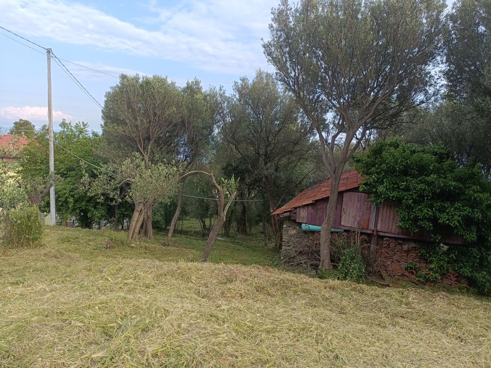 Helårsgrund i Varazze, Savona - foto 5