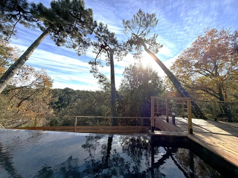 Villa i Arcachon, Gironde - bilde 1