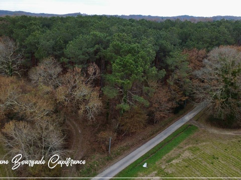 Helårsgrund i Saint-Martin-de-Hinx, Landes - foto 2