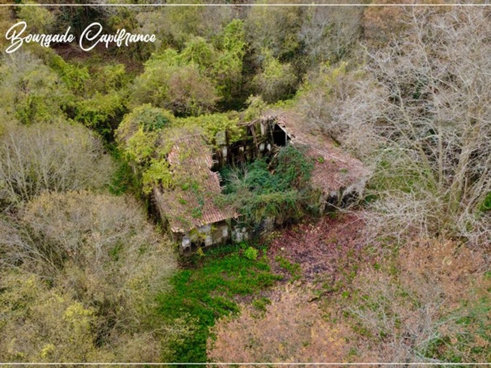 Helårsgrund i Saint-Martin-de-Hinx, Landes - foto 4