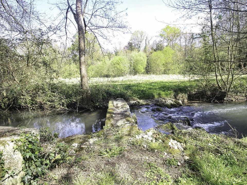 Landejendom i Grandjean, Charente-Maritime - foto 3