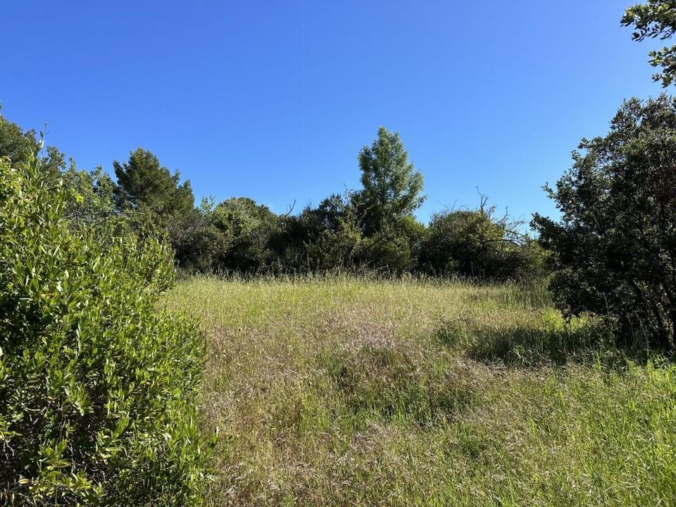 Helårsgrund i Caunes-Minervois, Aude - foto 5