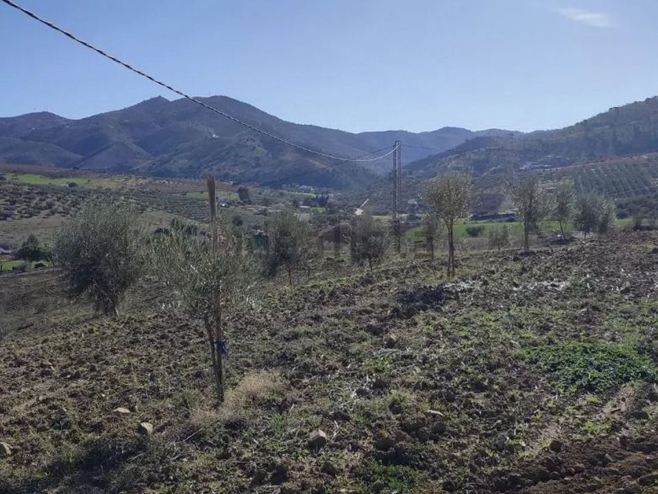 Helårsgrund i Villanueva De Cauche, Malaga - foto 1