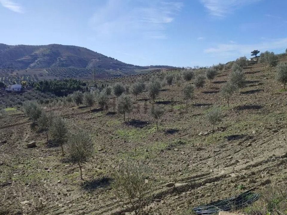 Helårsgrund i Villanueva De Cauche, Malaga - foto 2