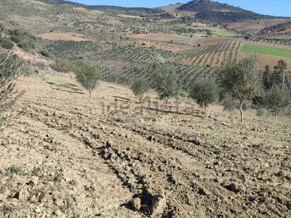 Helårsgrund i Villanueva De Cauche, Malaga - foto 4