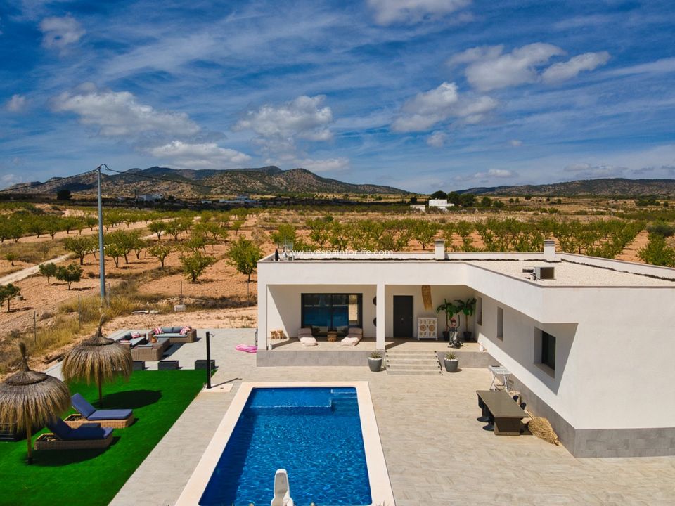 Landejendom i Pinoso, Alicante - foto 1