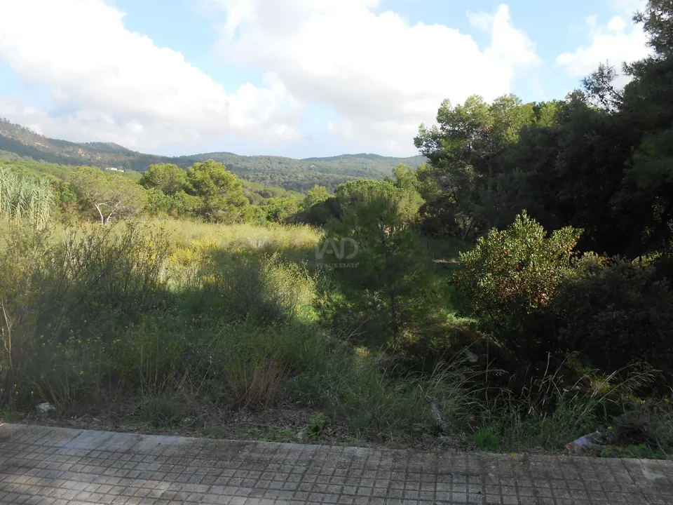 Helårsgrund i Barcelona, Barcelona - foto 5
