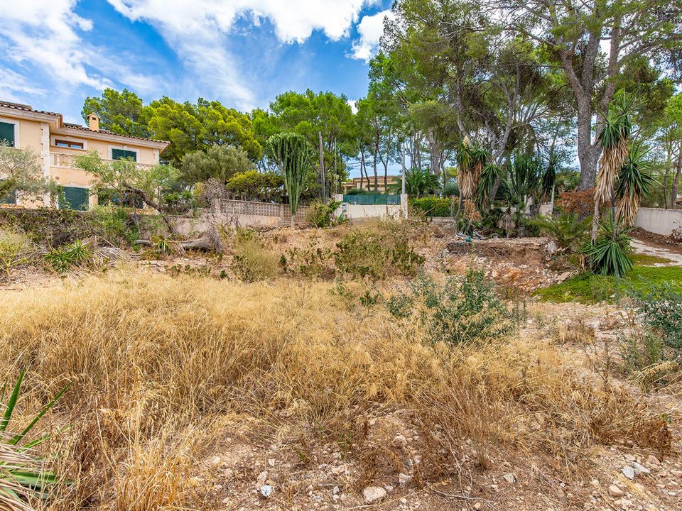 Helårsgrund i Bendinat, Mallorca - foto 2