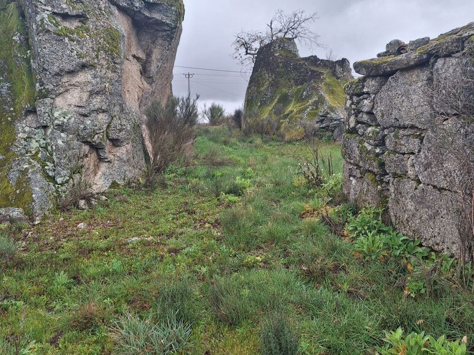 Helårsgrund i Guarda, Guarda - foto 2