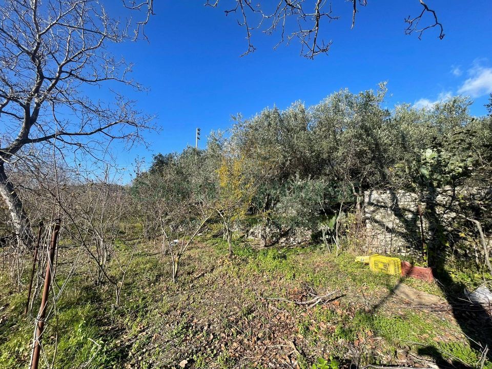 Helårsgrund i Avella, Avellino - foto 1