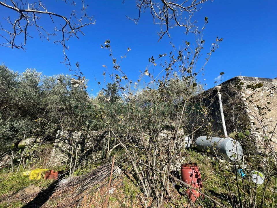 Helårsgrund i Avella, Avellino - foto 2