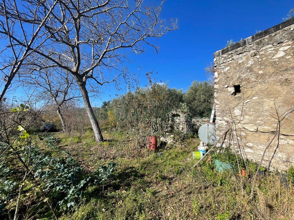 Helårsgrund i Avella, Avellino - foto 5
