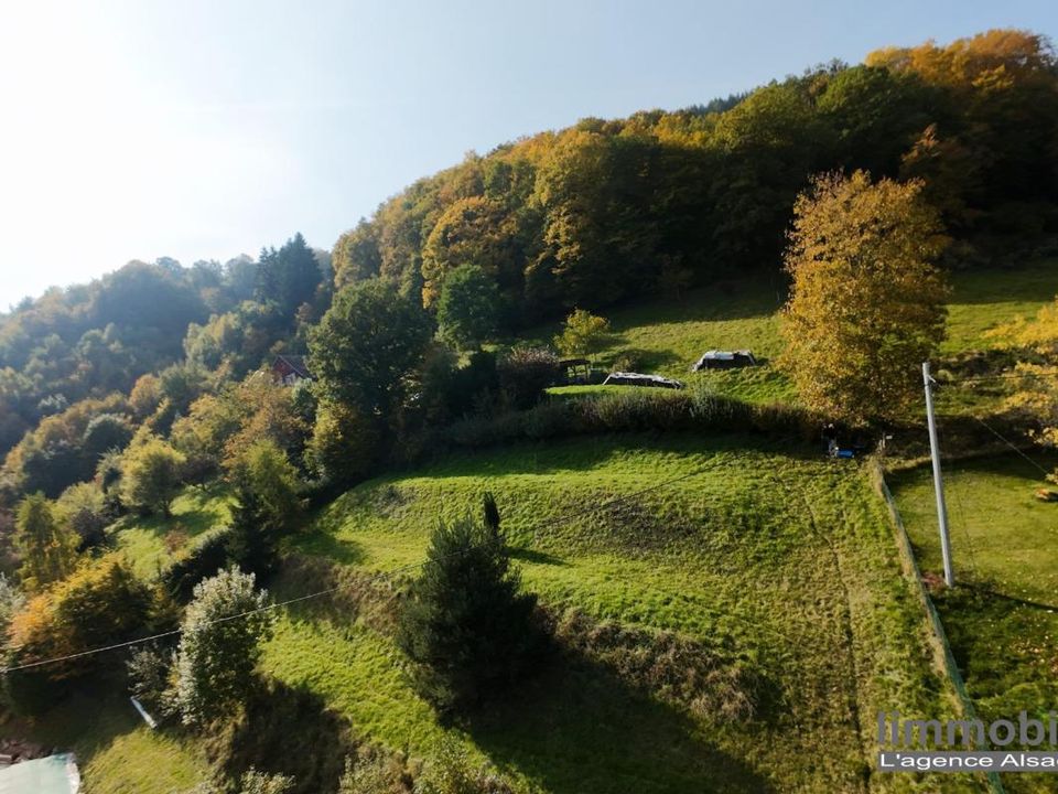 Helårsgrund i Wildersbach, Bas-Rhin - foto 5
