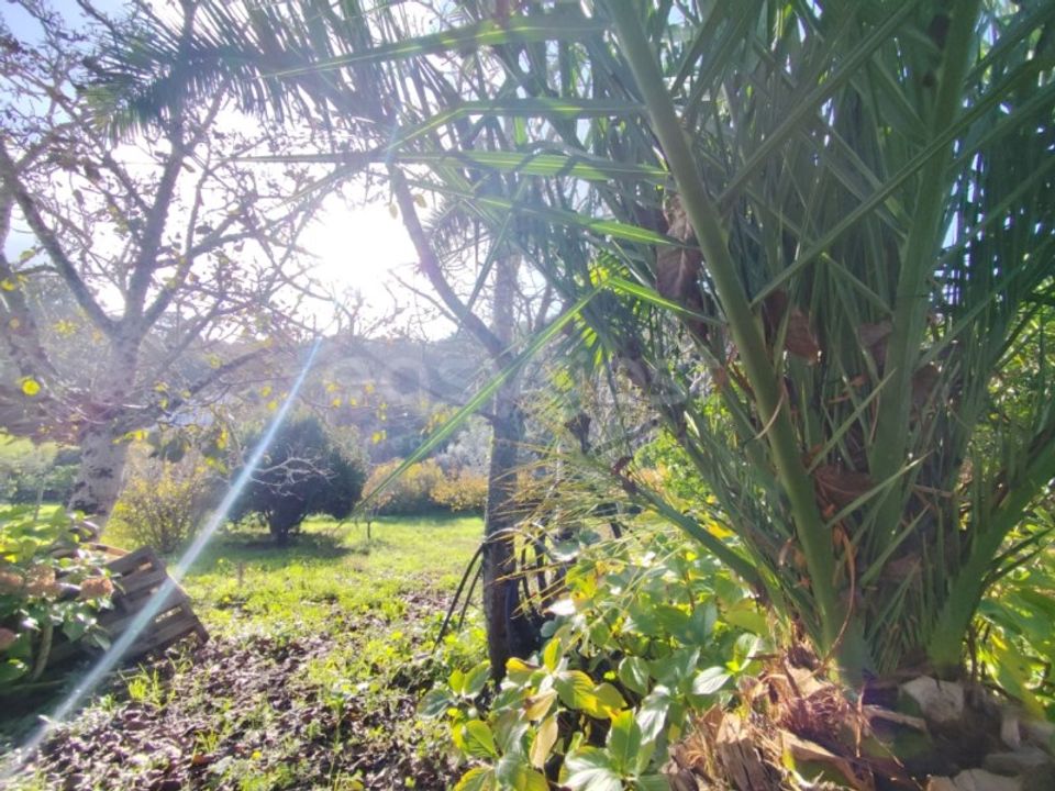 Farm i Almocageme, Lisbon - foto 4