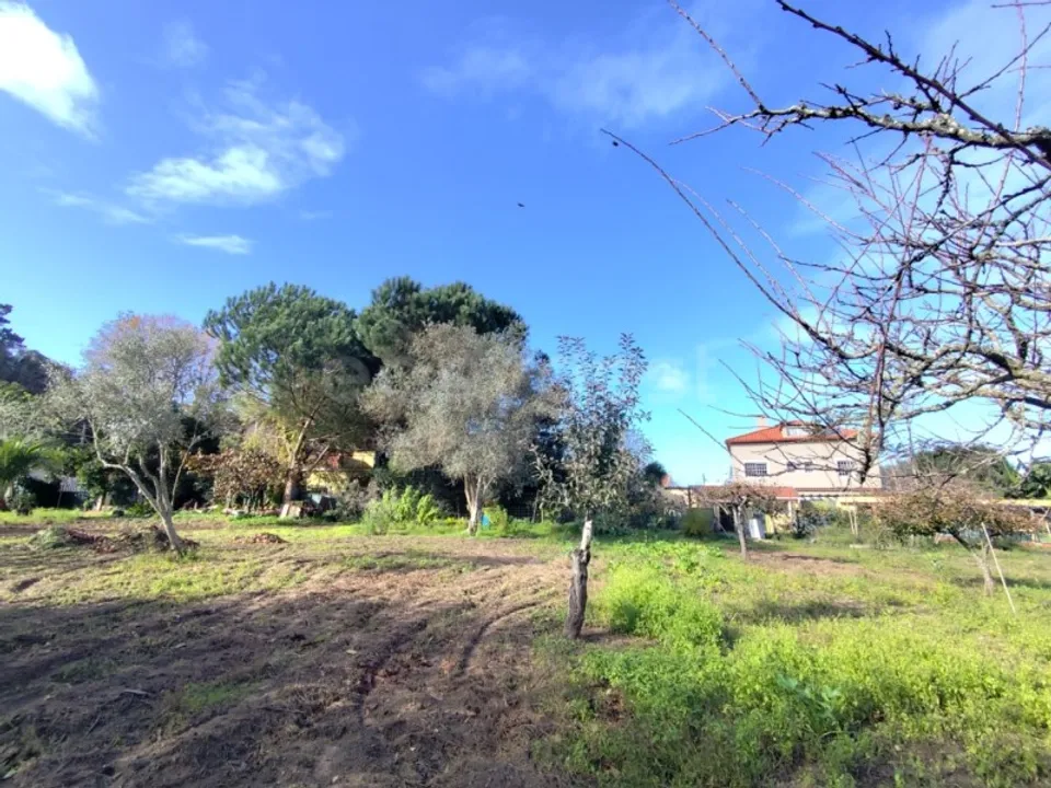 Farm i Almocageme, Lisbon - foto 5