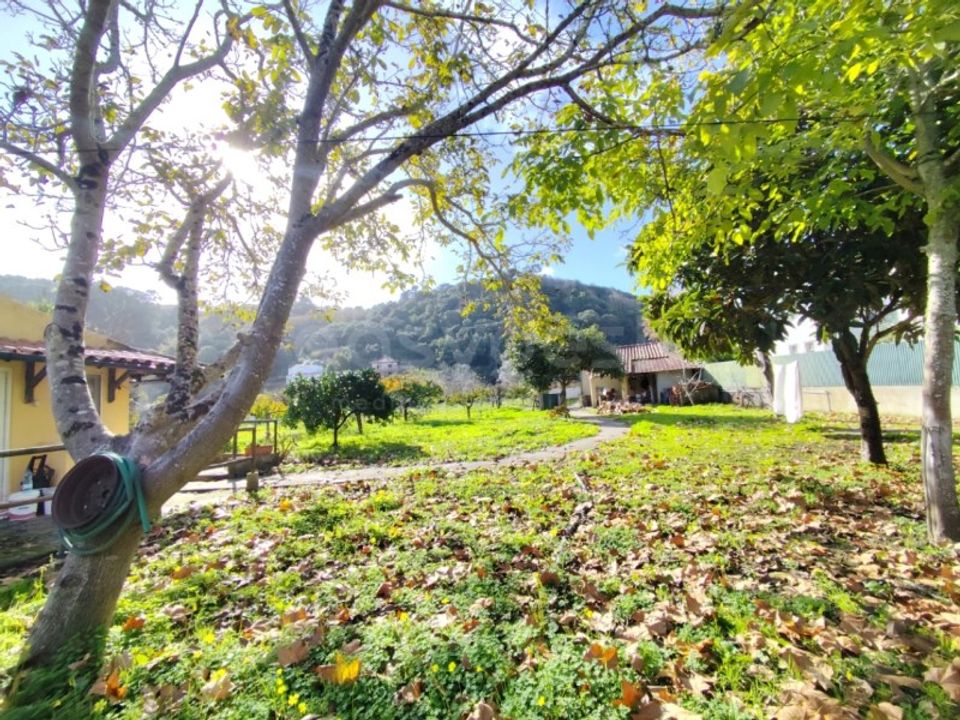 Farm i Almocageme, Lisbon - foto 1