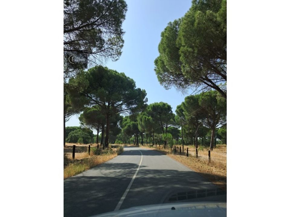Villa i Torrao, Setubal - foto 3
