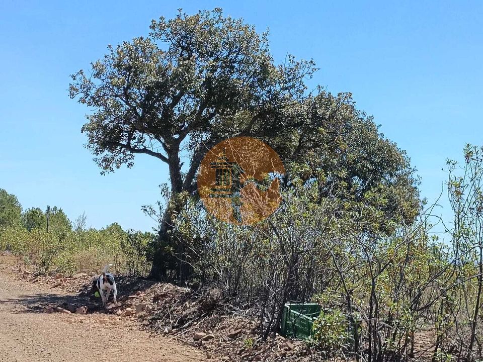 Helårsgrund i Castro Marim, Faro - foto 1