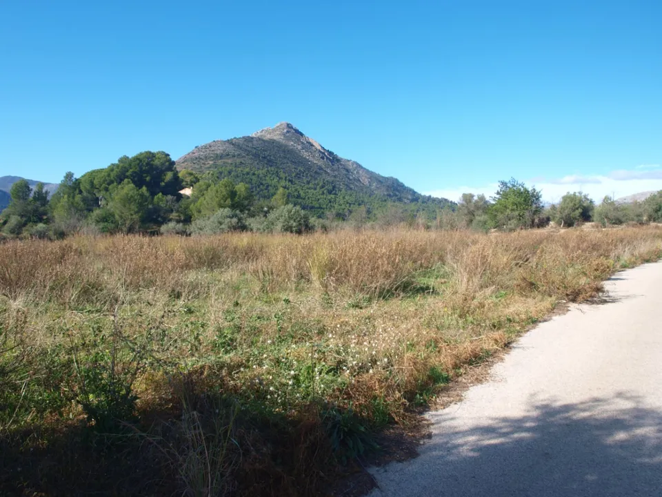Helårsgrund i Murla, Alicante - foto 5