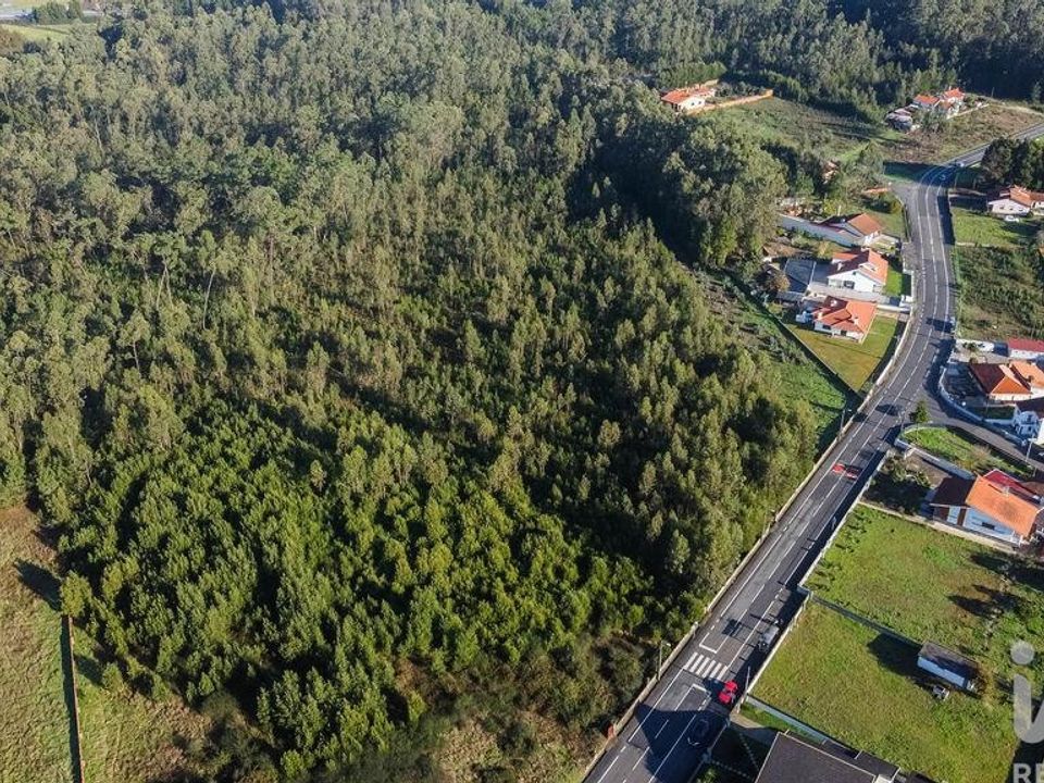 Terra a Estarreja, Aveiro - foto 3
