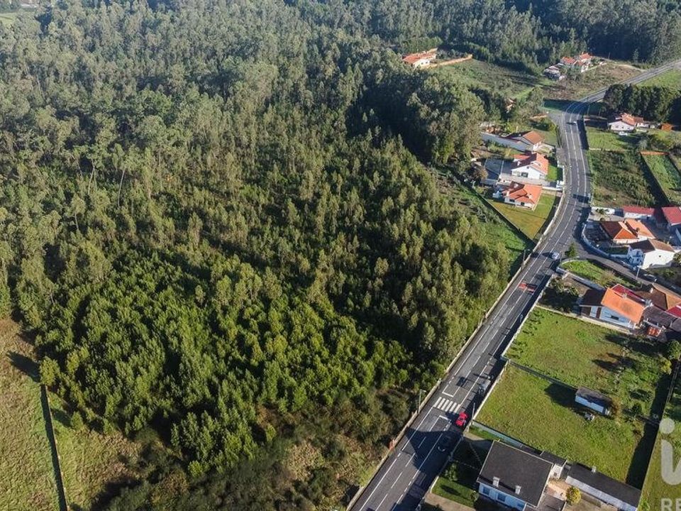 Terra a Estarreja, Aveiro - foto 4