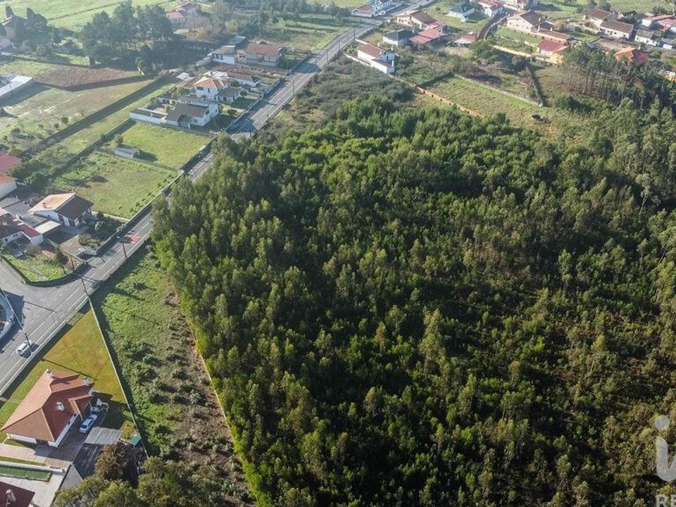 Terra a Estarreja, Aveiro - foto 5