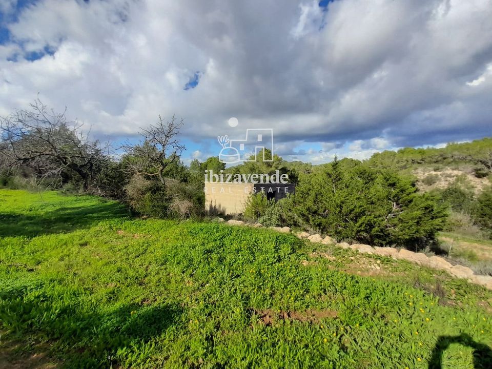 Finca i Sant Josep de sa Talaia, Ibiza - foto 5