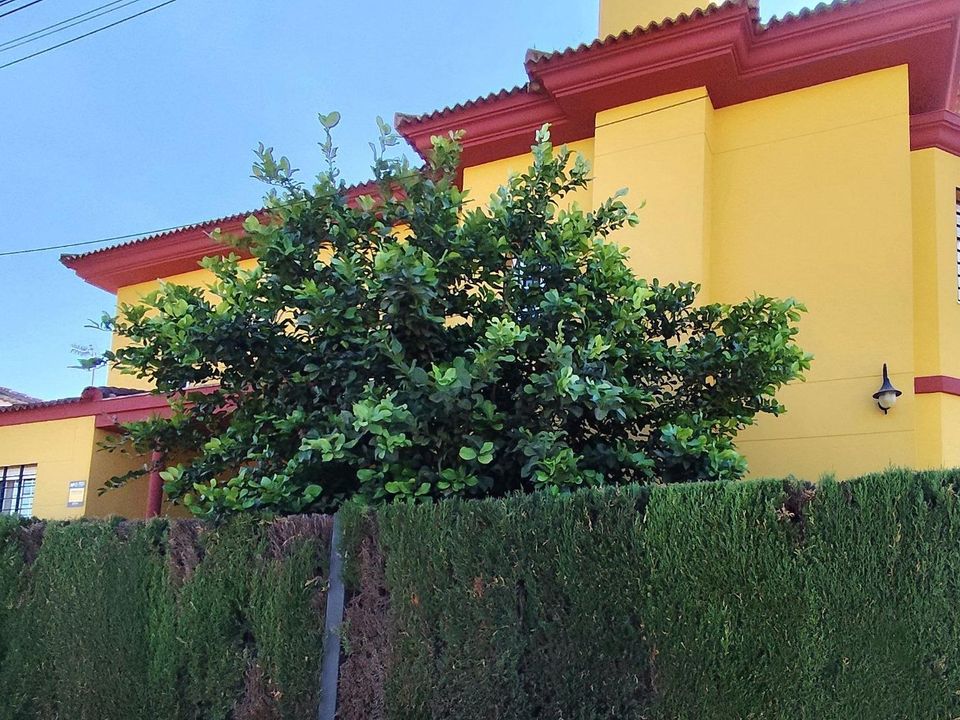 Villa a Bollullos De La Mitacion, Sevilla - foto 2