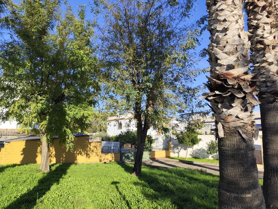 Tomt i Gelves, Sevilla - bilde 3