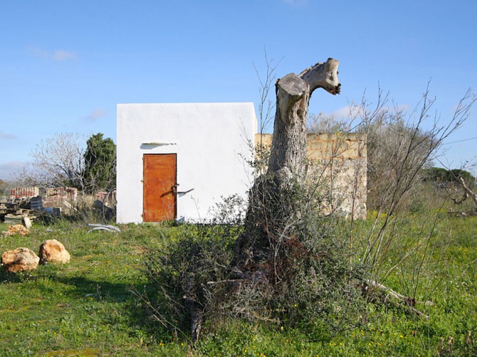 Tomt i Alezio, Lecce - bilde 2