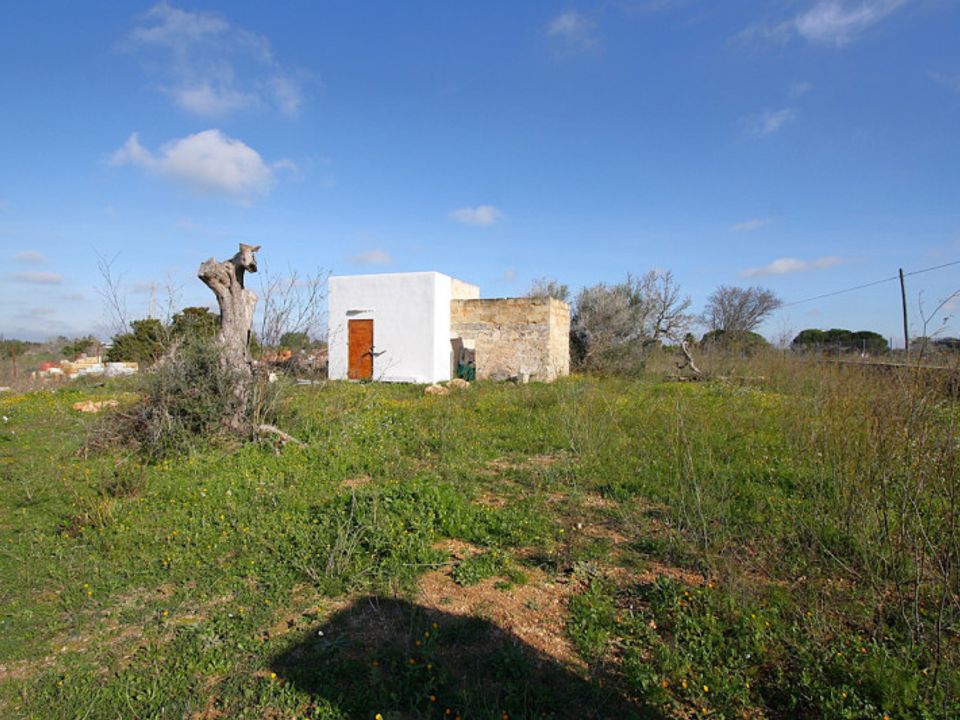 Tomt i Alezio, Lecce - bilde 4