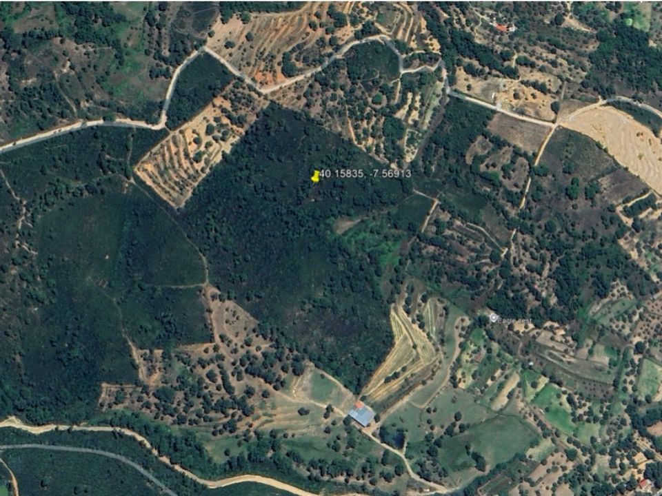Tomt i Fundao, Castelo Branco - bilde 1