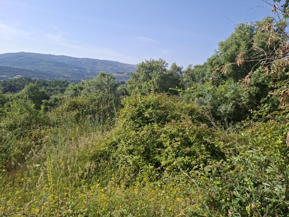 Helårsgrund i Fundao, Castelo Branco - foto 5