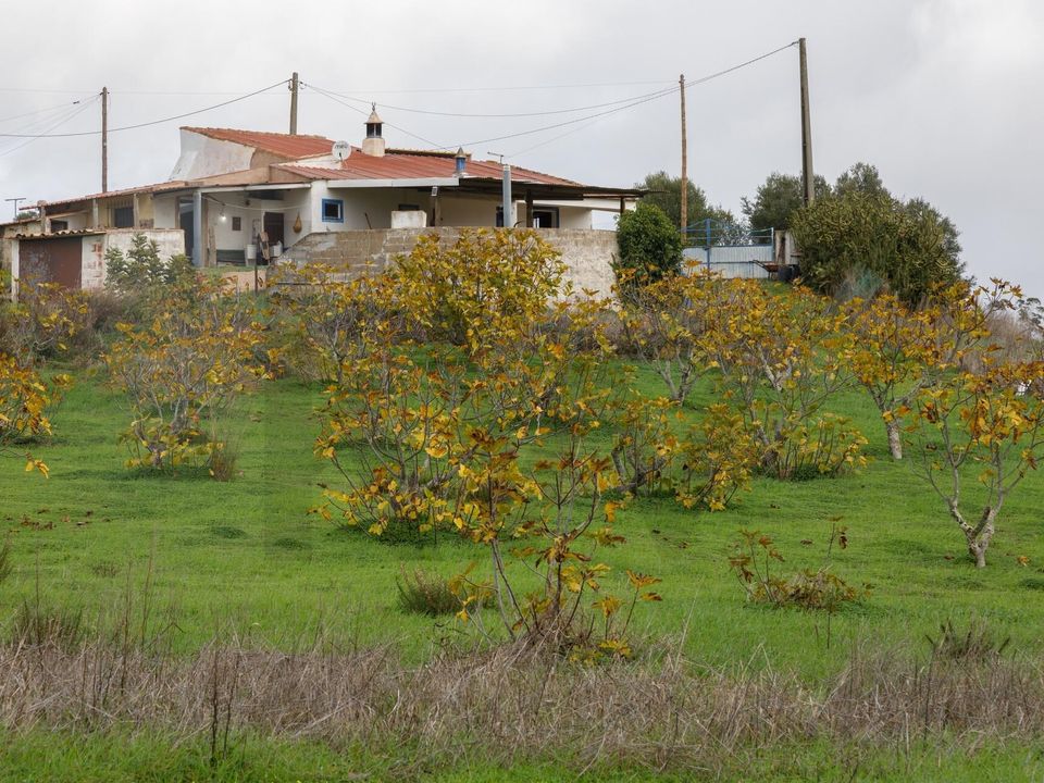 Farm hus i Portimao, Faro - foto 3